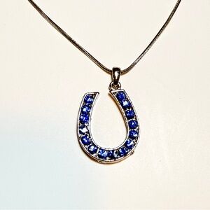 Blue Rhinestone Silver Horseshoe Pendant Necklace - 17”
